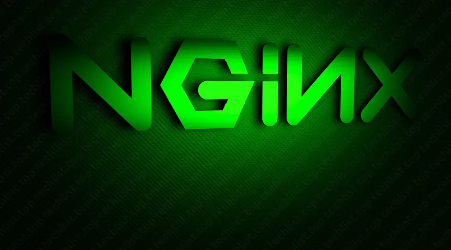 Kiểm tra tình trạng hoạt động của Nginx