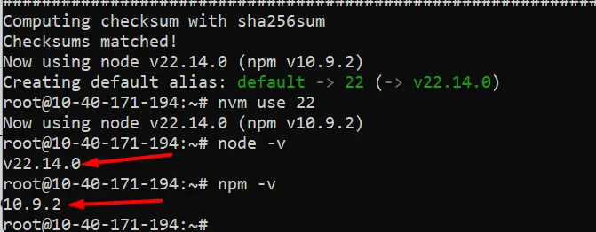 Cài đặt thành công Node.js 22 trên VPS Debian 10