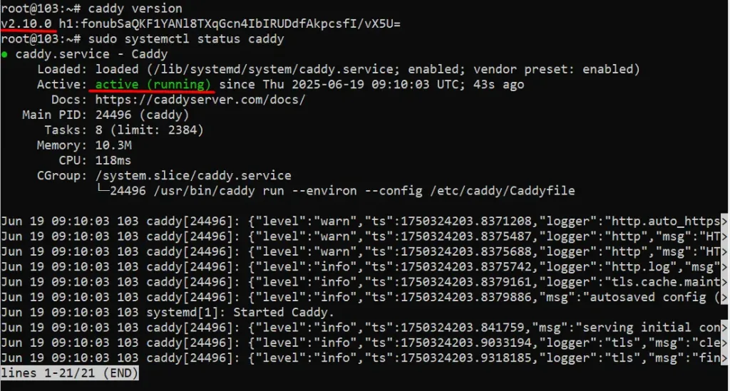 Cài đặt Caddy thành công trên VPS Ubuntu 22.04