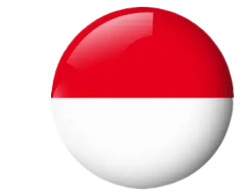 Proxy IPv4 Datacenter Indonesia