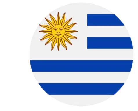 Proxy IPv4 Datacenter Uruguay