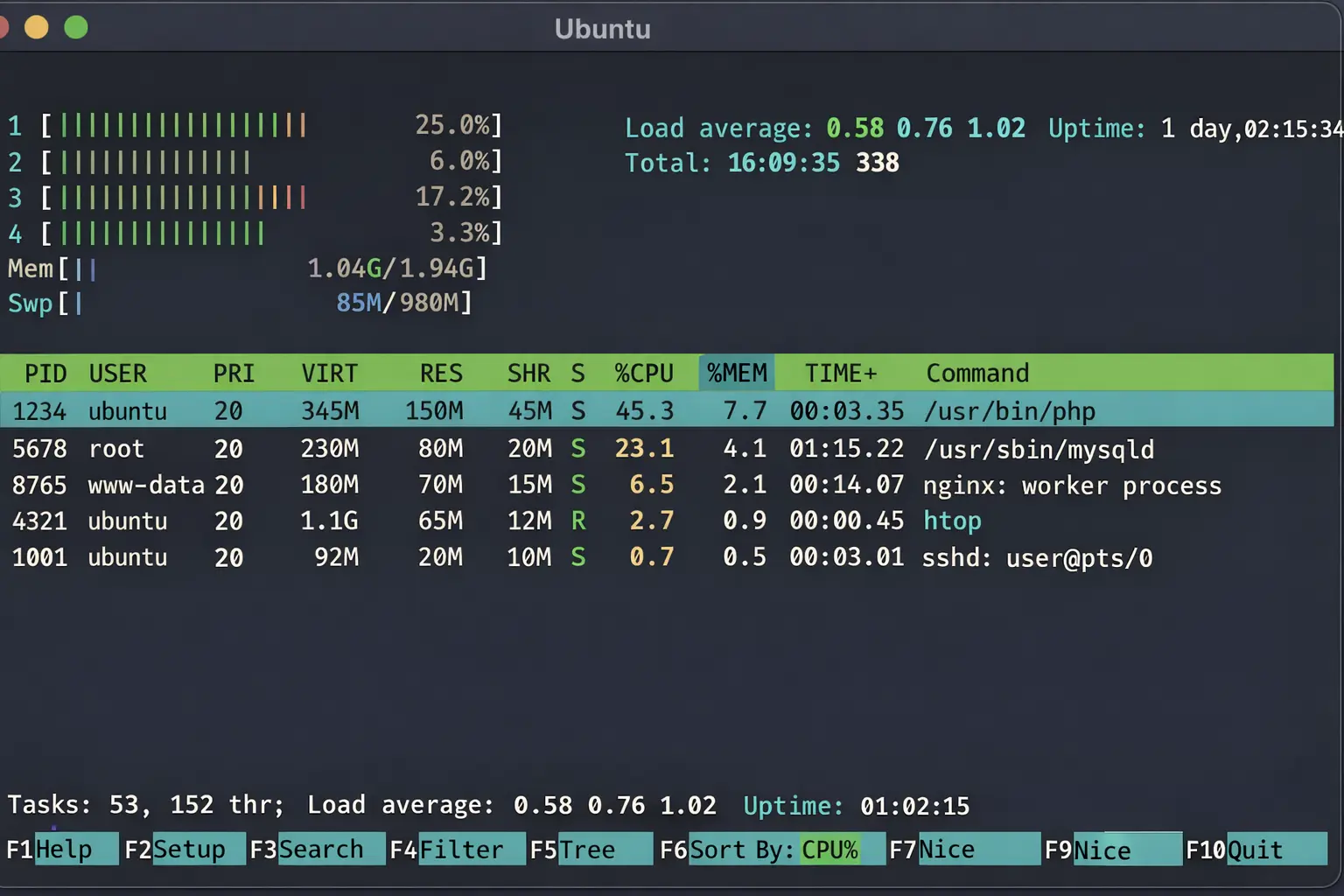 Giao diện Htop Ubuntu theo dõi CPU và RAM trên VPS Ubuntu